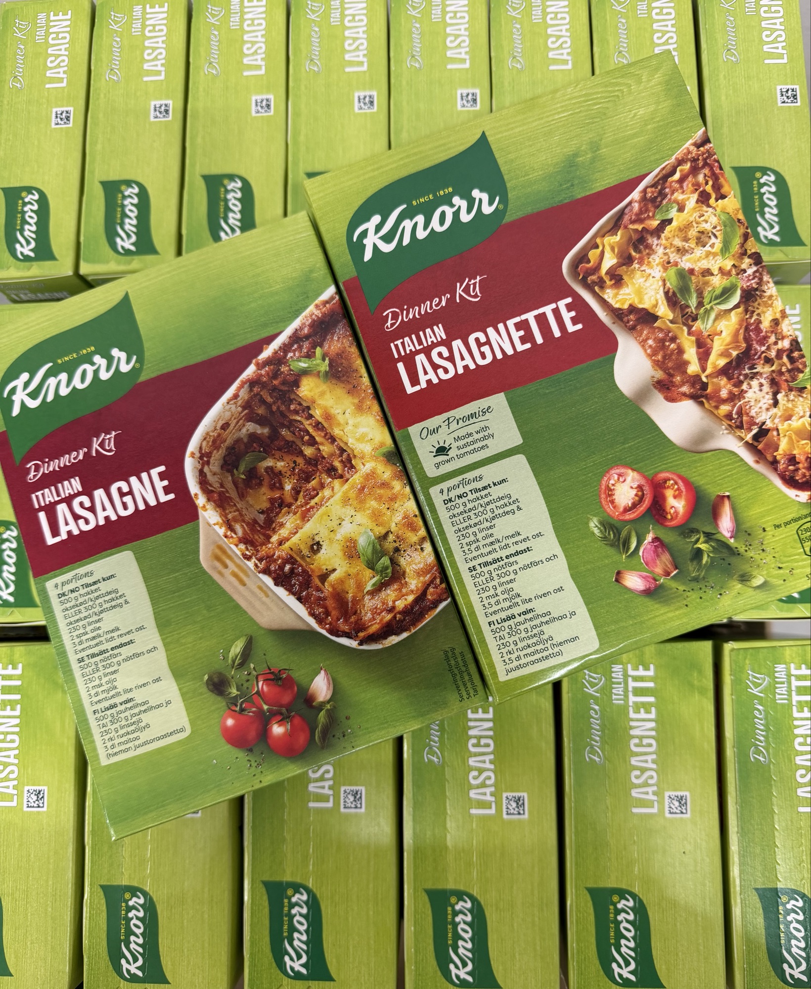 Knorr