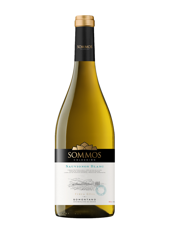 Sommos Colección Sauvignon Blanc, Somontano Spanien