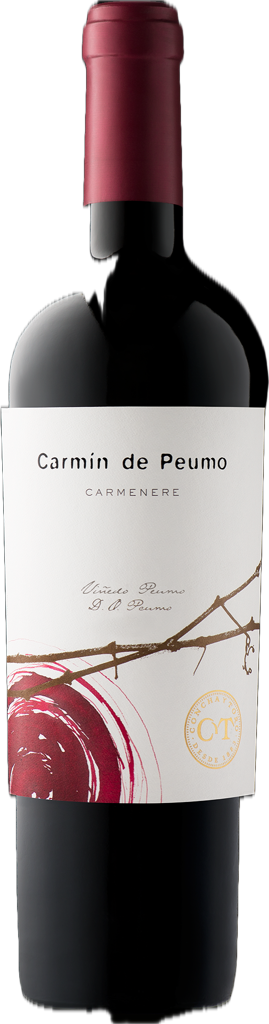 Carmin de Peumo 2019 CHILE, Peumo Vineyard, Cachapoal Valley