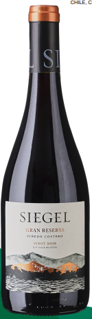 Champagne Jules Pierlot 1. Cru Brut
